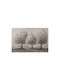Canvas Painting 3 Trees Brown White Silver 80x3x120cm 812-20071 Estheti 812-20071