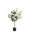 Hortensia Artificială Albă Plantă În Ghiveci 140cm 88325-1