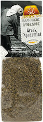 Synergasia Spearmint 70gr