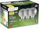 3x LED Glühbirnen E27 Sphäre G95 6w = 50w Dekor...