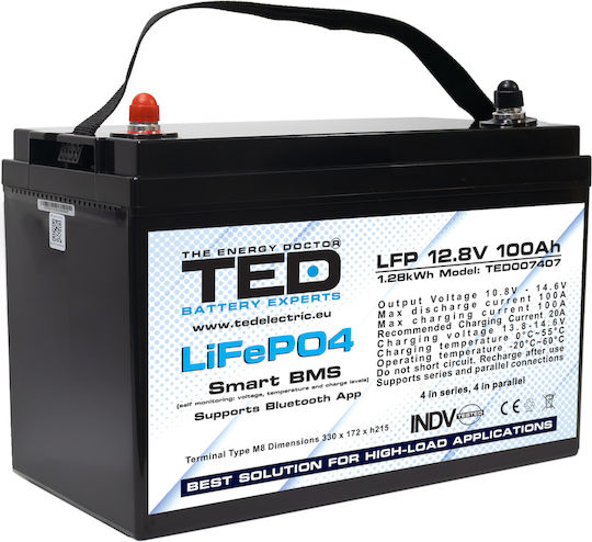 TED Electric TED007407 UPS-Batterie mit Gewicht 100Ah und Spannung 12.8V