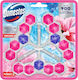 Domestos Badezimmerreiniger Toilette Mit Duft Frische 3x50gr