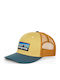 Patagonia P-6 Logo Trucker Kappen