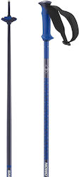 Salomon Poles Polar Pro Race Blue Ski Cheeks