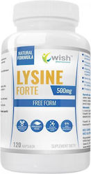 Wish Pharmaceutical Lizină 500mg 120 Capsule Wish Pharmaceutical Lizină 500mg 120 Capsule