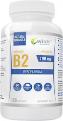 Wish Pharmaceutical Vitamin B2 100mg + Prebiotic Vitamine für die Gesundheit des Nervensystems 120 Kapseln