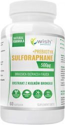 Wish Pharmaceutical Sulforaphane 500µg + Prebiotic 60 κάψουλες Wish Pharmaceutical Sulforaphane 500µg + Prebiotic 60 κάψουλες
