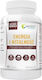 Wish Pharmaceutical Енергия и жизненост 60 капсули