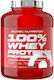 100% Whey Protein Professional Whey Protein with Chocolate Flavor 1.816kg