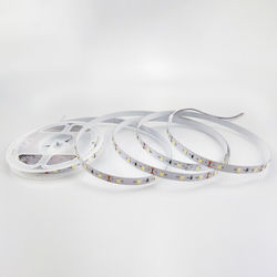 Eurolamp Ταινία LED 24V Ψυχρό Λευκό 5m Eurolamp Ταινία LED 24V Ψυχρό Λευκό 5m