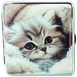 Belbox Табакера Cat 02