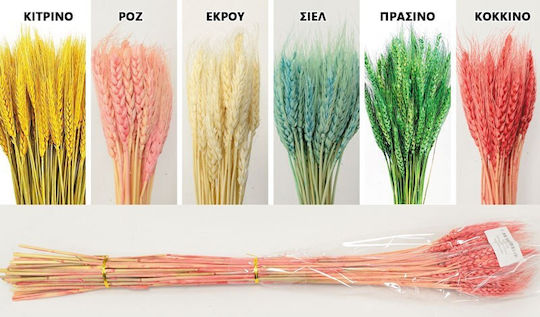 Aποξηραμένo Μπουκέτο Στάχυα 70cm 0516155 Εκρού