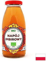 Organic Ginger Drink 250 Ml Dary Natury