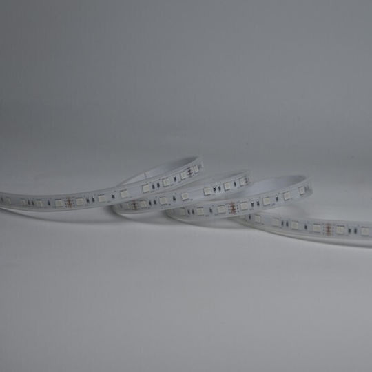 Eurolamp Waterproof LED Strip 12V RGB Light 5m SMD5050 Type