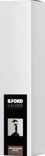 Ilford Hârtie foto Ilford Galerie Fineart Canvas Galicia 450g 61cm X 15m