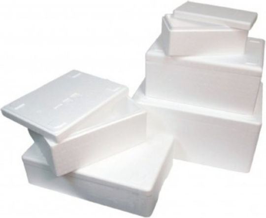 Caseta Înghețată 19x19x10.5cm Kilou Nr 2