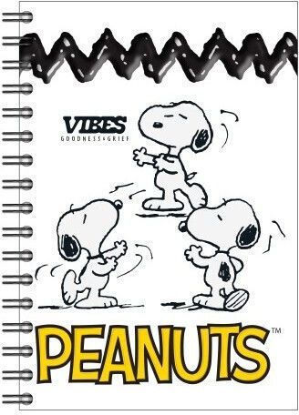 Peanuts Snoopy and Woodstock Σπιράλ Τετράδιο Ριγέ Β5 70 Φύλλων 2 Θεμάτων