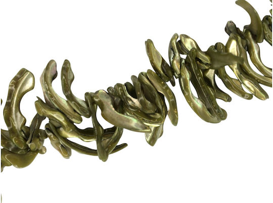 Natürliche Muschel Chips 22~25mm Grüne 93-148Stück