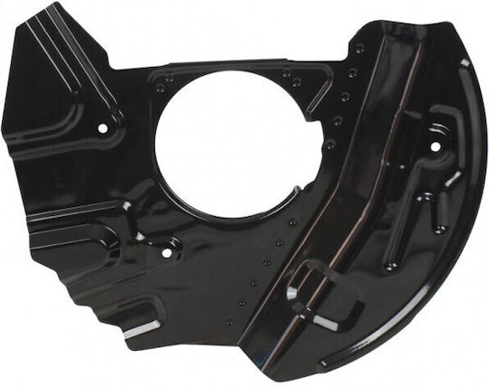 Protector de disc de frână față stânga BMW X5 34116756901