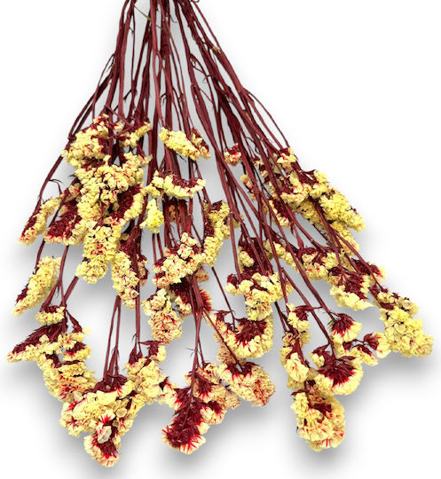 Buchet De Amarant Uscat Galben–Decor Elegant 70cm L123k Riniotis Rin-l123k
