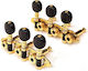 Grover Ma200 Ss 3+3 Goldene Schwarze Buttons