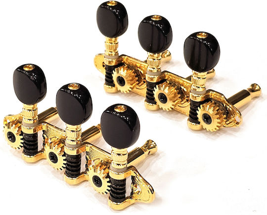 Grover Ma200 Ss 3+3 Goldene Schwarze Buttons
