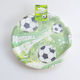 Football Reihe Pappteller 7 Zoll 10 Stück