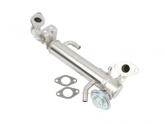 Fiat Ducato Motor Kühlschrank Iv 504178568
