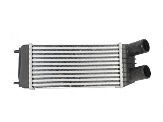 Intercooler Fiat Scudo Citroen Jumpy Ii 0384k4