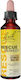 Rescue Drops Panic Attacks Stress 20ml