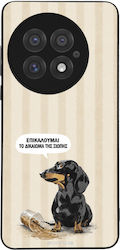 Sonique Stripe Stories Series Oneplus 13 5g Sil...
