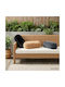 vidaXL Heerlen Sofa Cushion Anthracite 15x40cm