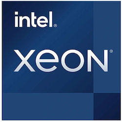Intel Xeon Xeon 6737P 2.9GHz 32 Core Processor for Socket LGA 4710 Tray Intel Xeon Xeon 6737P 2.9GHz 32 Core Processor for Socket LGA 4710 Tray