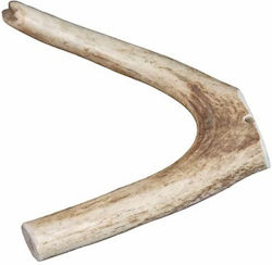 Bloo Choo Dog Antler from Deer