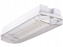 Intelight Beleuchtungsschienen Sphakaki Für Außenbereich Mit Eingebaute LED Intelight Beleuchtungsschienen Sphakaki Für Außenbereich Mit Eingebaute LED