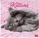 Legami Milano Daily Wall Diary 2027 Pink 29x30cm