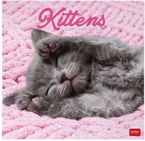 Legami Milano Daily Wall Diary 2027 Pink 29x30cm