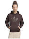 Sweatshirt Mit Brauner Kapuze