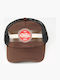 Admiral Jockey Muse Brown