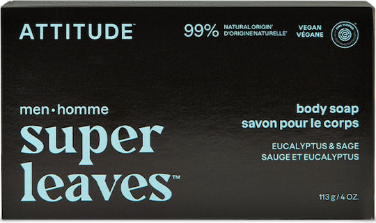 Attitude Μπάρα Σαπουνιού με Βούτυρο Καριτέ 113gr