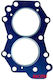 Φλάντζα Κεφαλής Johnson Evinrude 5 Ίππων 6 Ίππων 239103