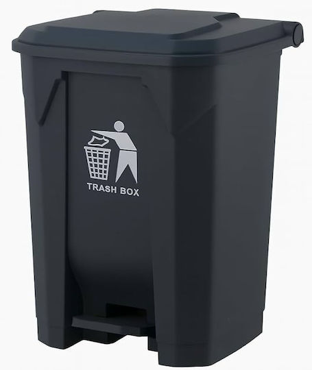 Temno Coș De Gunoi Din Plastic Cu Pedală 2x50lt Gri