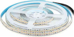 Rixme Ταινία LED 12V Θερμό Λευκό 5m Rixme Ταινία LED 12V Θερμό Λευκό 5m