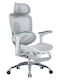Sihoo Doro C300 Pro V2 Bürostuhl mit Einstellbaren Armen Off-White