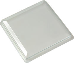 Capacul Bolului Profiterol 220ml 40 Buc 6-70673
