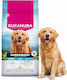 Eukanuba Daily Care 12kg Trockenfutter für Erwachsene Hunde Mittlere Rassen