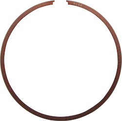 Spare Set of Piston Springs Vertex 53010005800