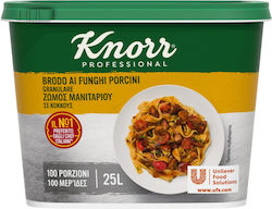 Knorr Бульон от гъби Porcini 500gr 6-72533