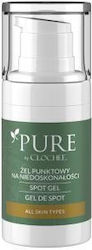 Clochee Pure Gel κατά της Ακμής 15ml Clochee Pure Gel κατά της Ακμής 15ml