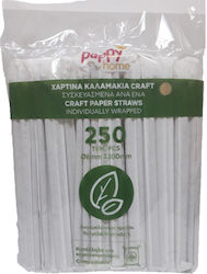 Pappy Home Papier Strohhalme Craft 250 Stücke 6-72946 Pappy Home Papier Strohhalme Craft 250 Stücke 6-72946